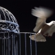 Freedom From Darkness