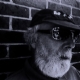 Terry Collett