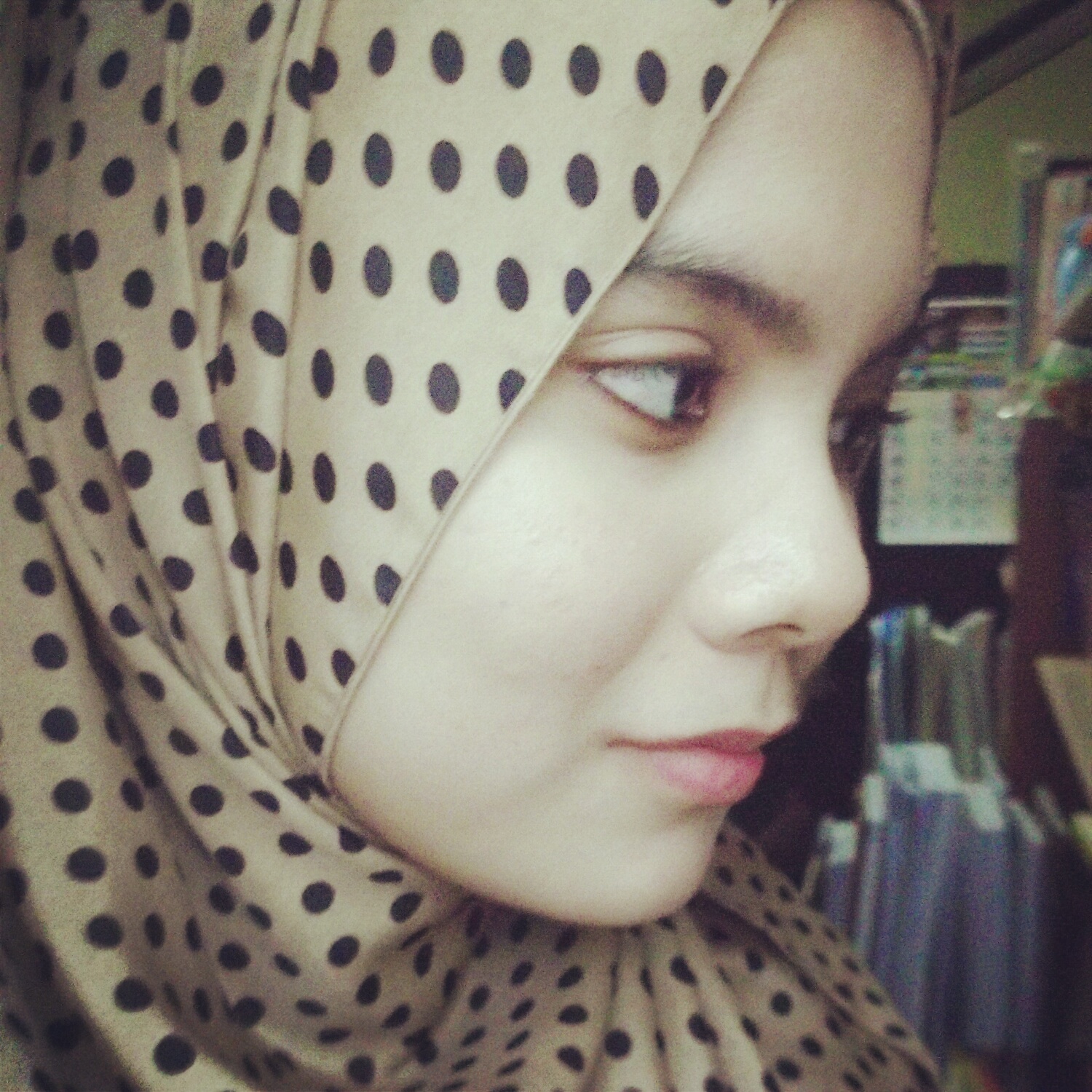 Hamytaf Hushes