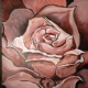 Red Rossess Mary Hartley