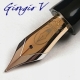 Giorgio Veneto