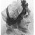Anna L�titia Barbauld