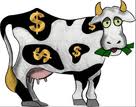 Cash Cow poet