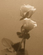 Paurakh Shrestha poet