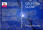 Praveen Kumar in Celestial Glow poet