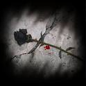 Heather R. Stewart poet