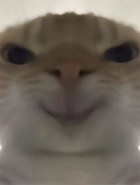 K F