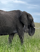 Tenzin Choten Khampa