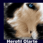 Herofil Olarte