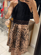 Ava Nova