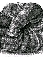 Murthadoh Muhammad