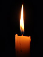 SABI (Shasta Bhutani)