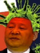 Kim Cancer