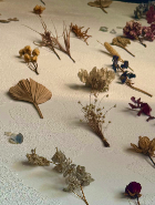 Amaranth Us