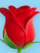 Rose Emma