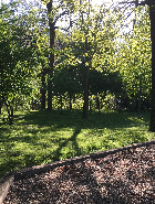 Thaddeus McDougleberry