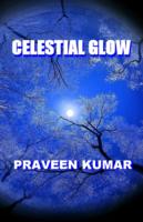 Praveen Kumar in Celestial Glow