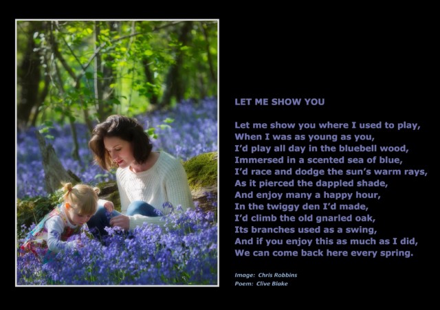 Let Me Show You - Let Me Show You Poem by Clive Blake