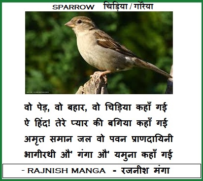Parrot Ki Poem In Hindi S In Hindi - Infoupdate.org