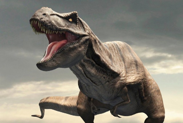Tyrannosaurus Rex Was the Tyrant Lizard King