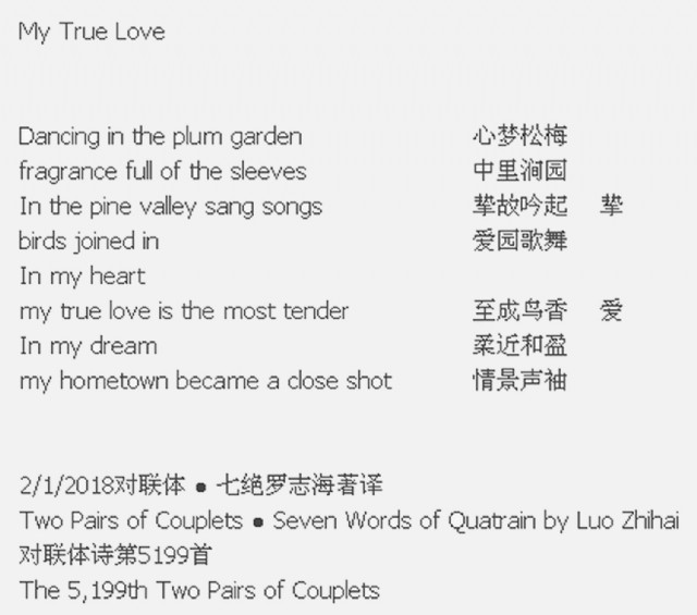 PLÜM - True Love Lyrics
