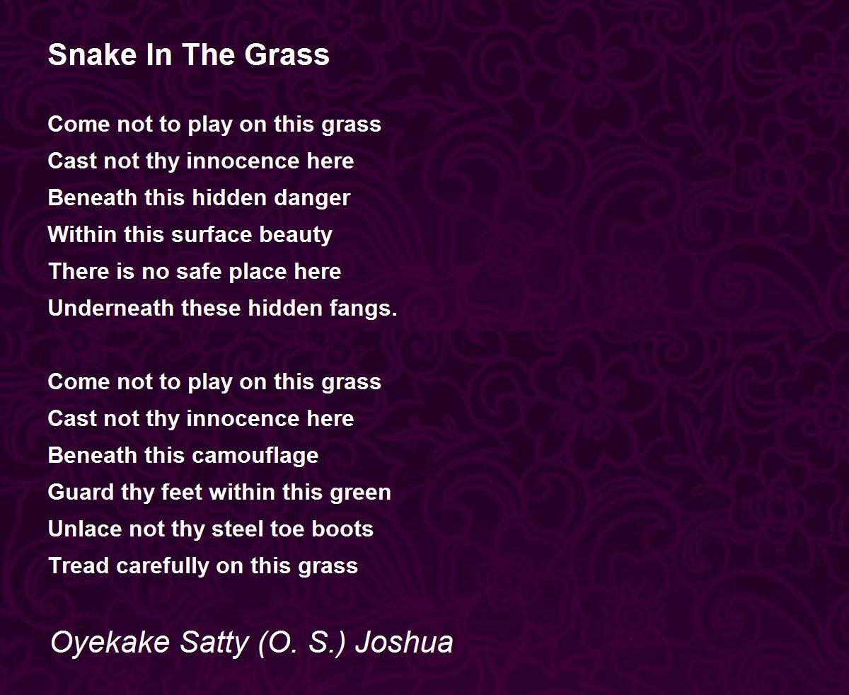 NickyNuAImusic Snakes In The Grass Lyrics