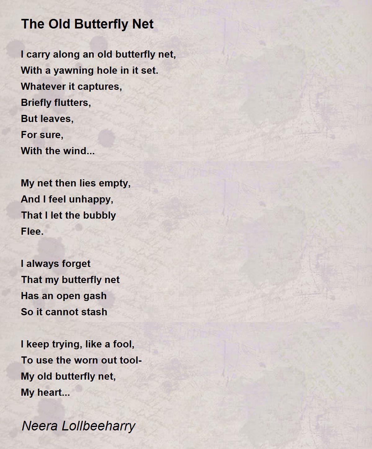 The Old Butterfly Net - The Old Butterfly Net Poem by Neera Lollbeeharry