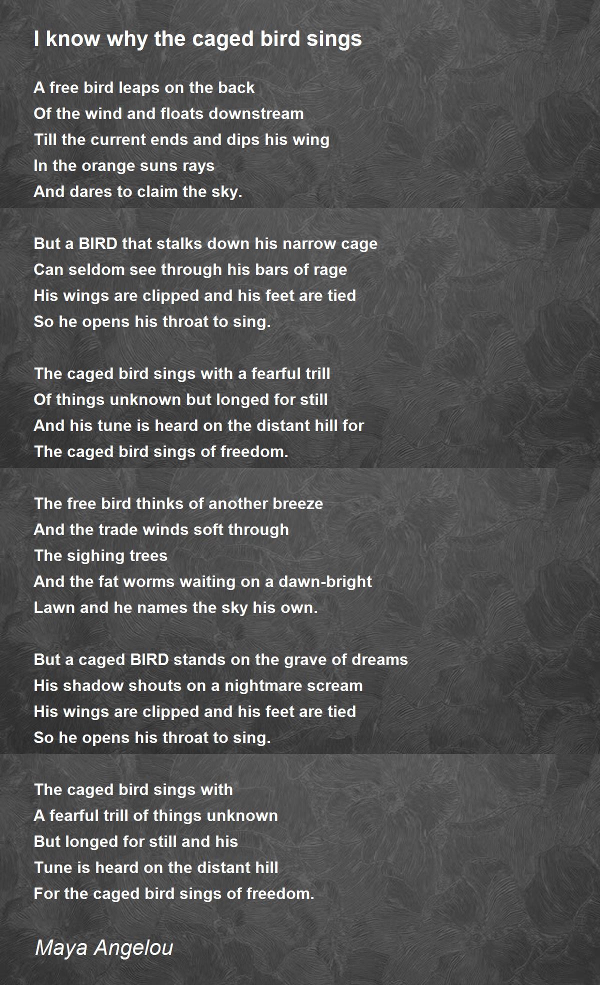 Maya Angelou Poems I Know Why The Caged Bird Sings