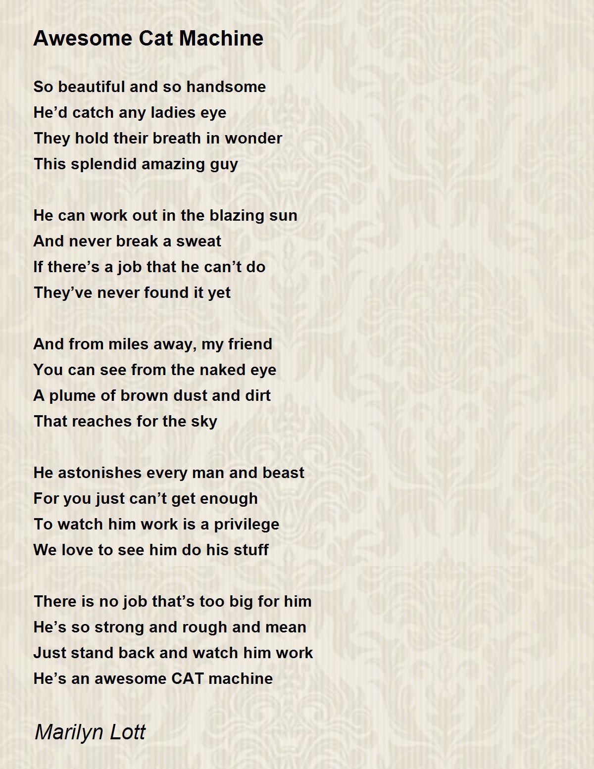 Awesome Cat Machine - Awesome Cat Machine Poem by Marilyn Lott