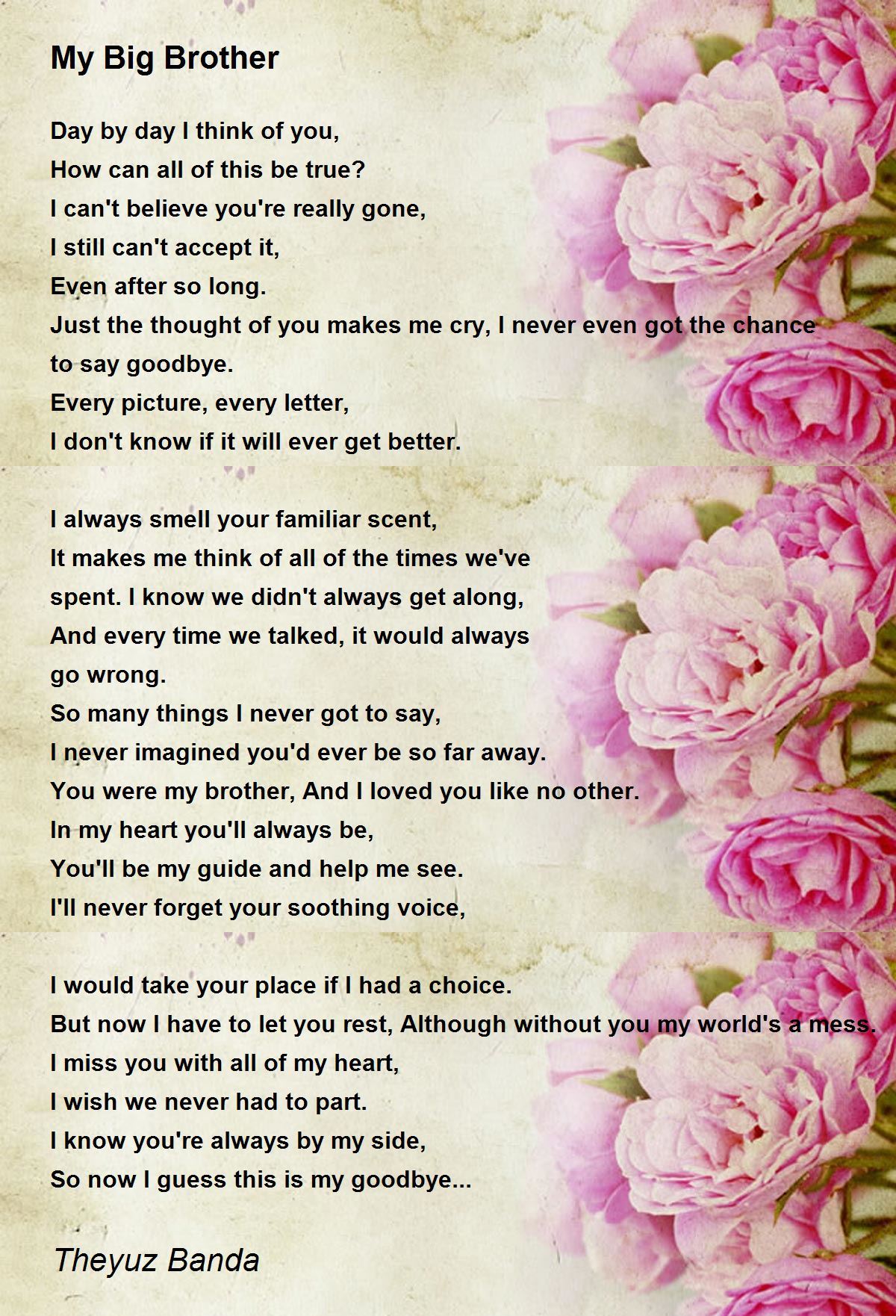 special poem for my brother