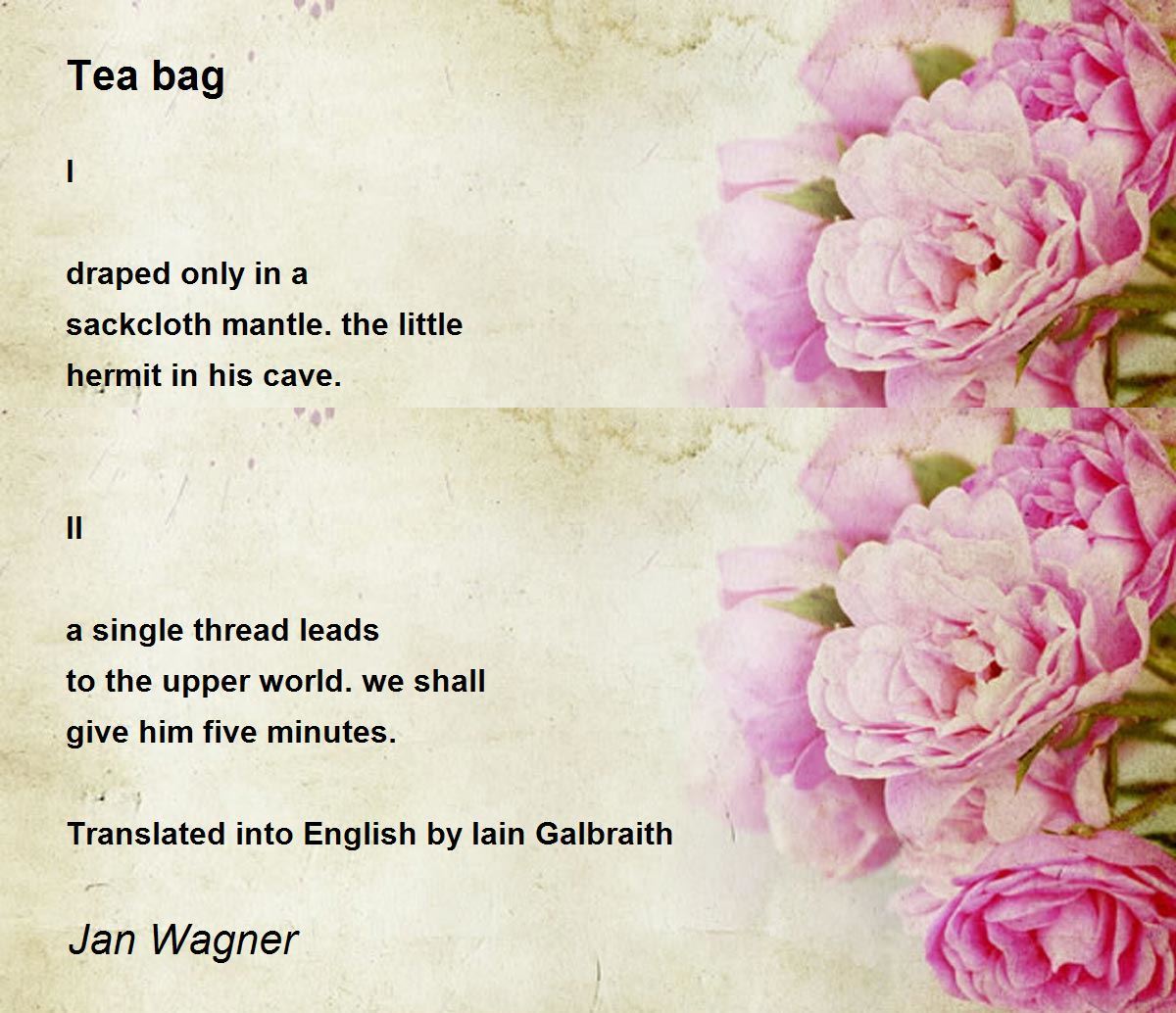 Thea Bag  Rose and Poetry