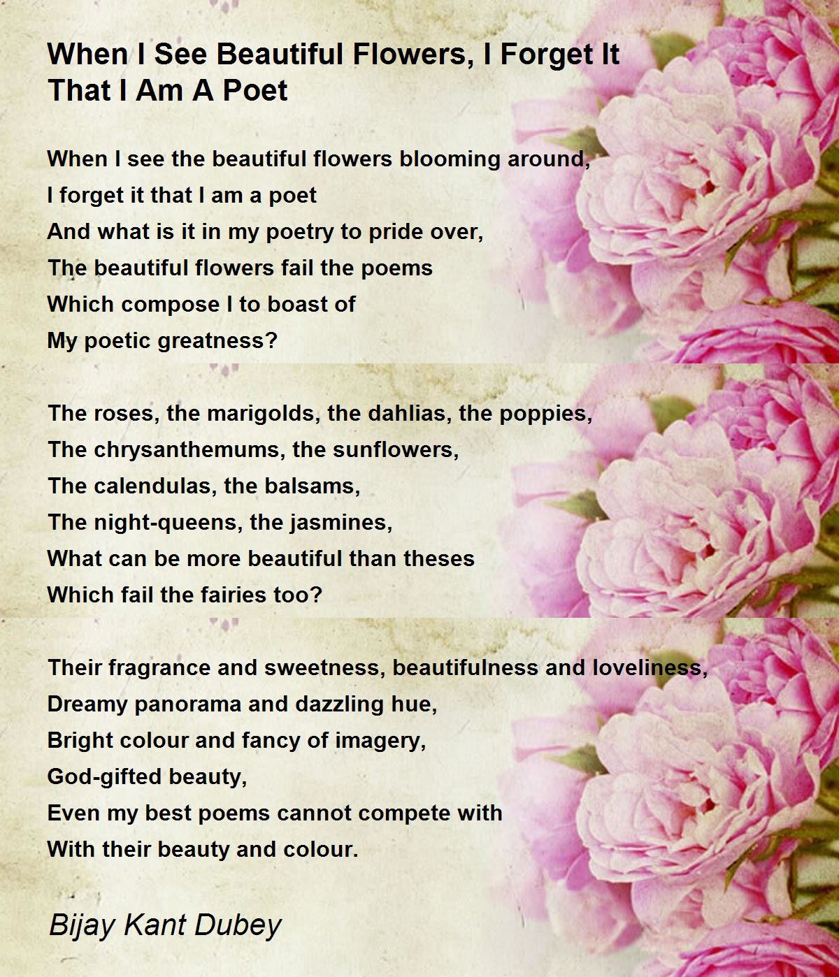 Poet Poem By Bijay Kant Ey