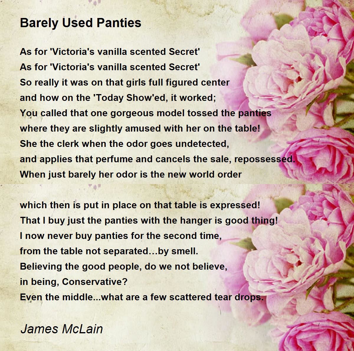 Barely Used Panties - Barely Used Panties Poem by James McLain