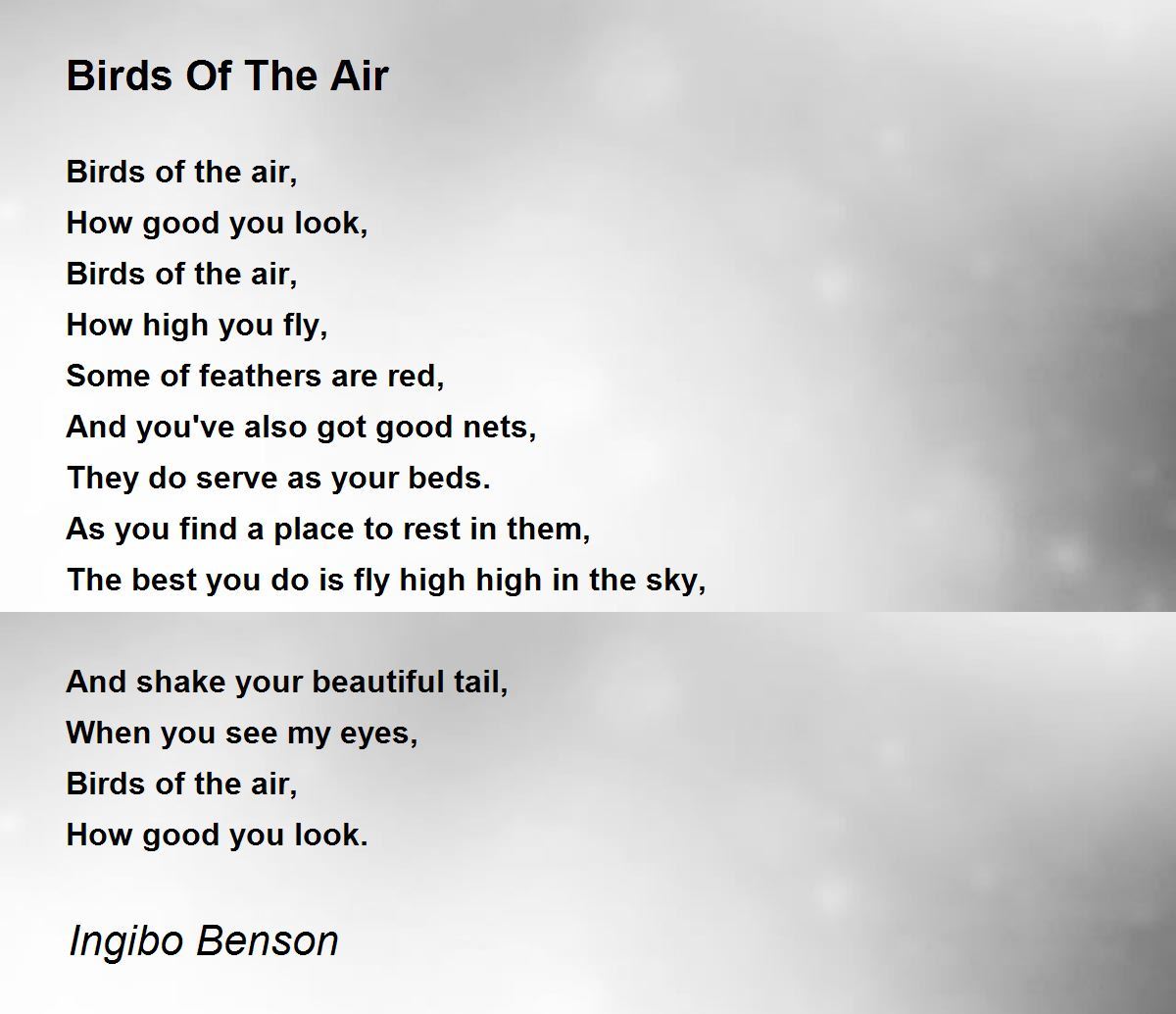 Fly High With the Birds in the Sky