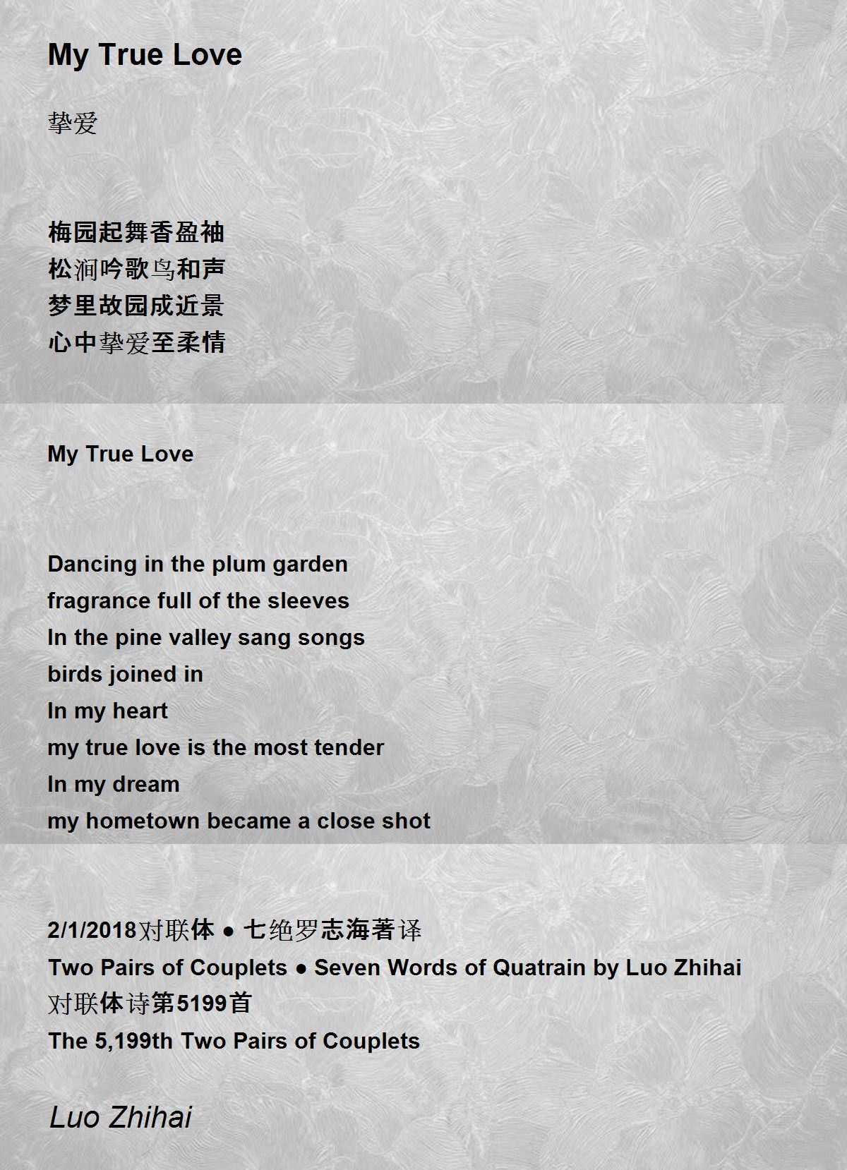 PLÜM - True Love Lyrics