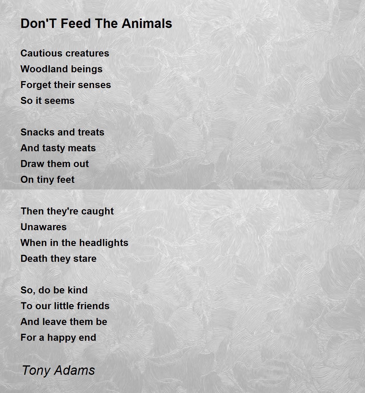 Don'T Feed The Animals - Don'T Feed The Animals Poem by Tony Adams