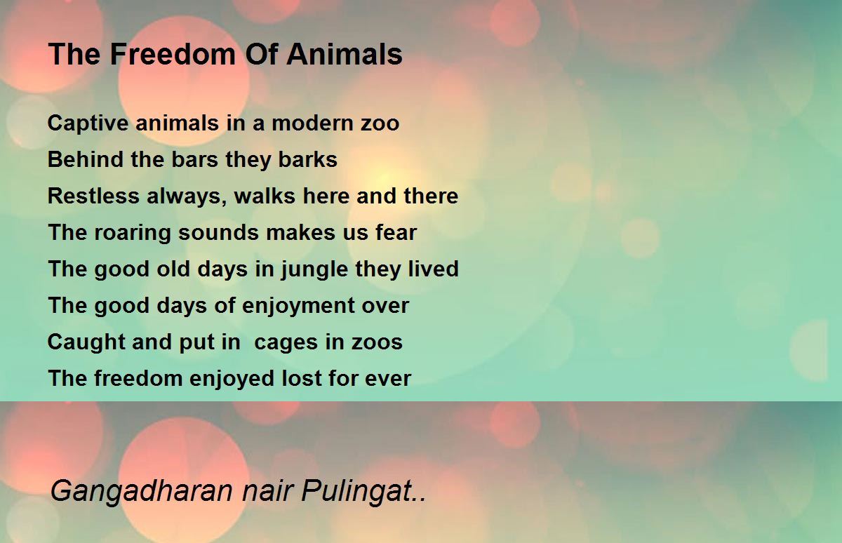 The Freedom Of Animals - The Freedom Of Animals Poem by Gangadharan nair  Pulingat..