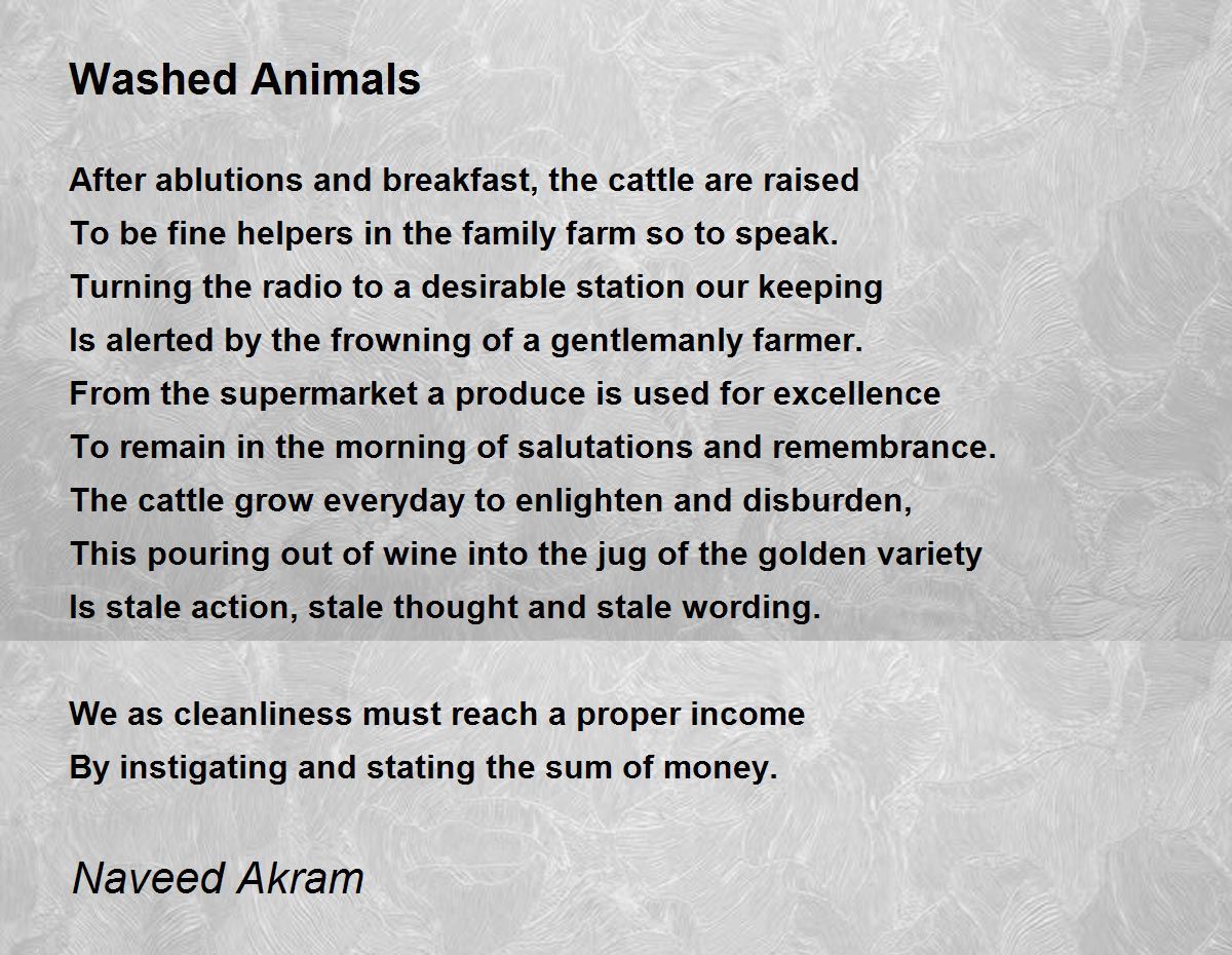 Washed Animals - Washed Animals Poem by Naveed Akram