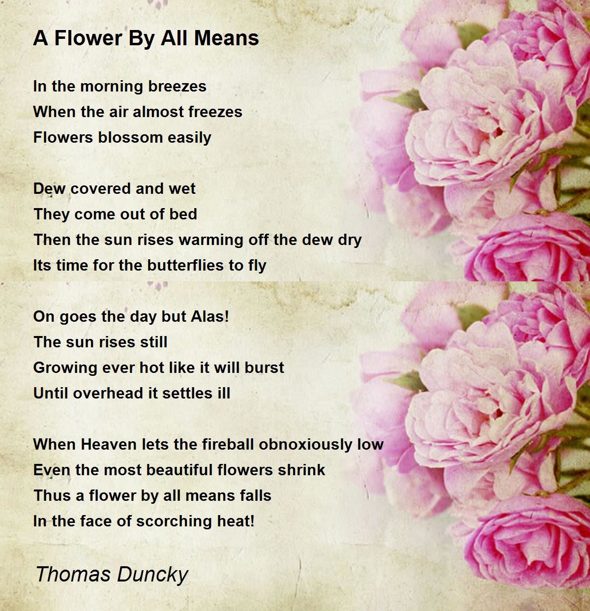 A Flower By All Means Poem Thomas Duncky