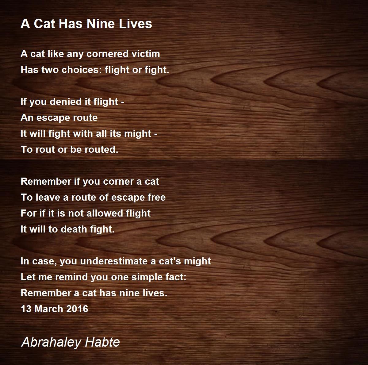 Cat has hotsell nine lives