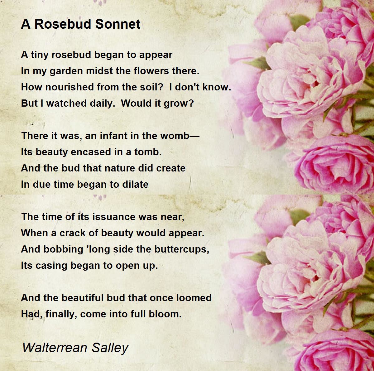 To The Rosebud, poetry written by Lei Writses at