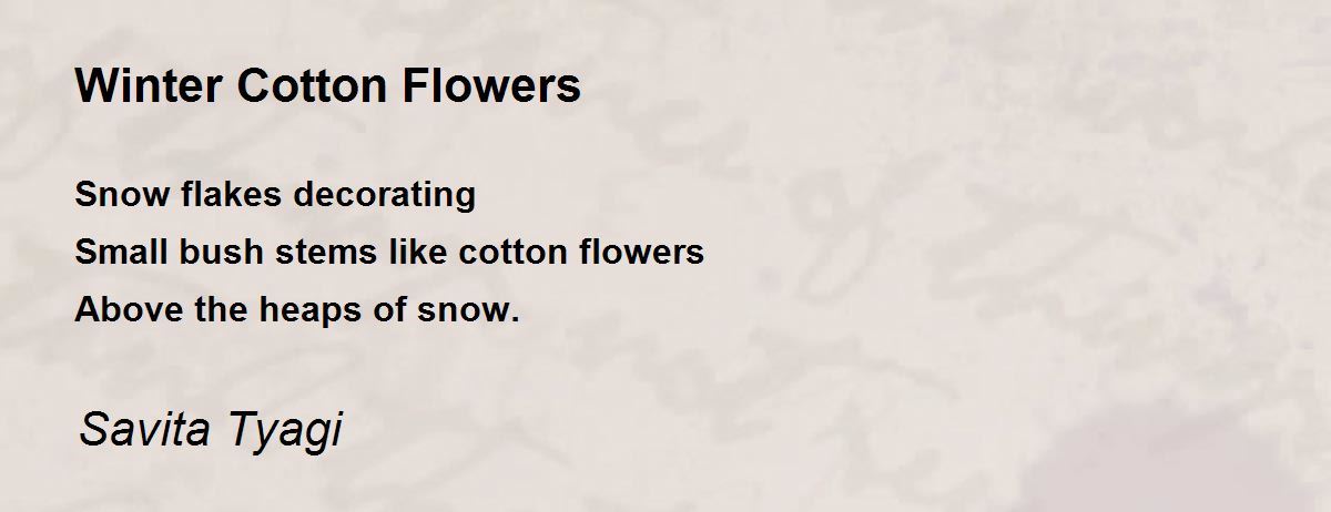 Winter Cotton Flowers - Winter Cotton Flowers Poem by Savita Tyagi