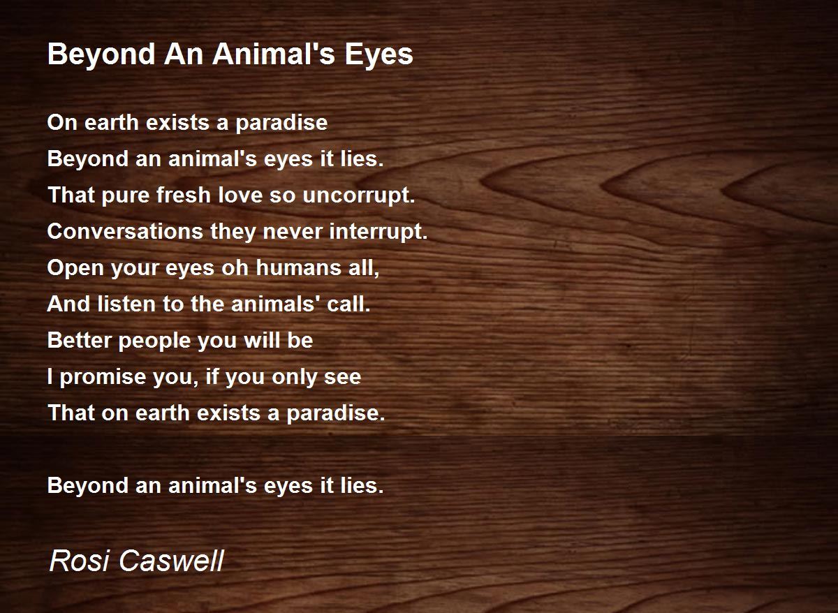 Beyond An Animal's Eyes - Beyond An Animal's Eyes Poem by Rosi Caswell