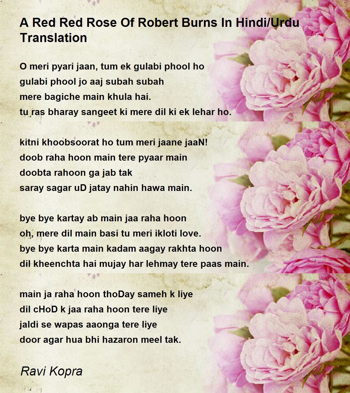red rose wallpaper with love quotes in urdu
