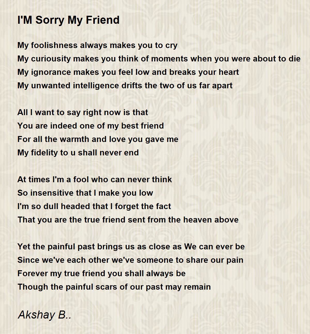 I'M Sorry My Friend - I'M Sorry My Friend Poem by Akshay B..