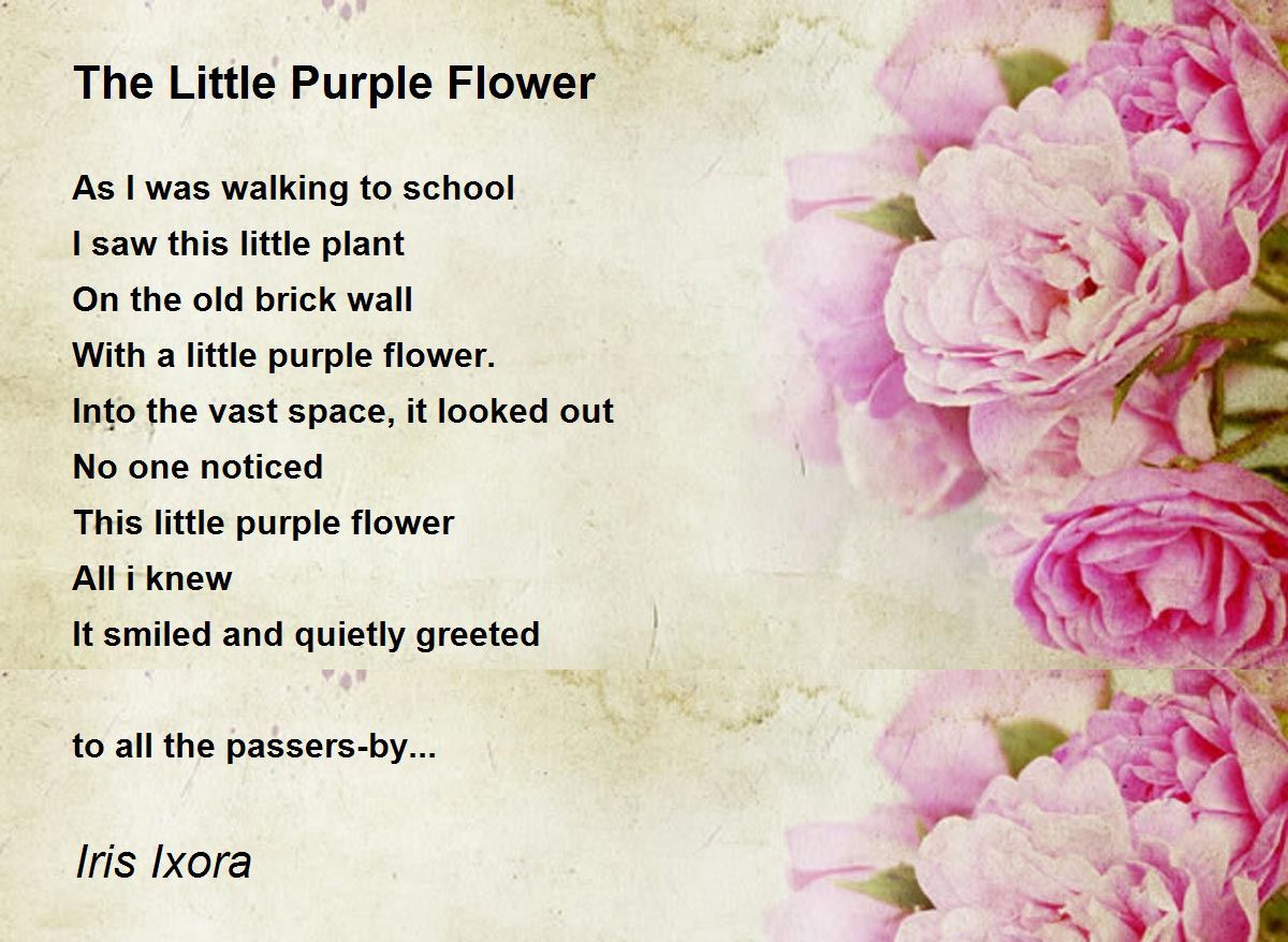 The Little Purple Flower Poem By Iris Ixora