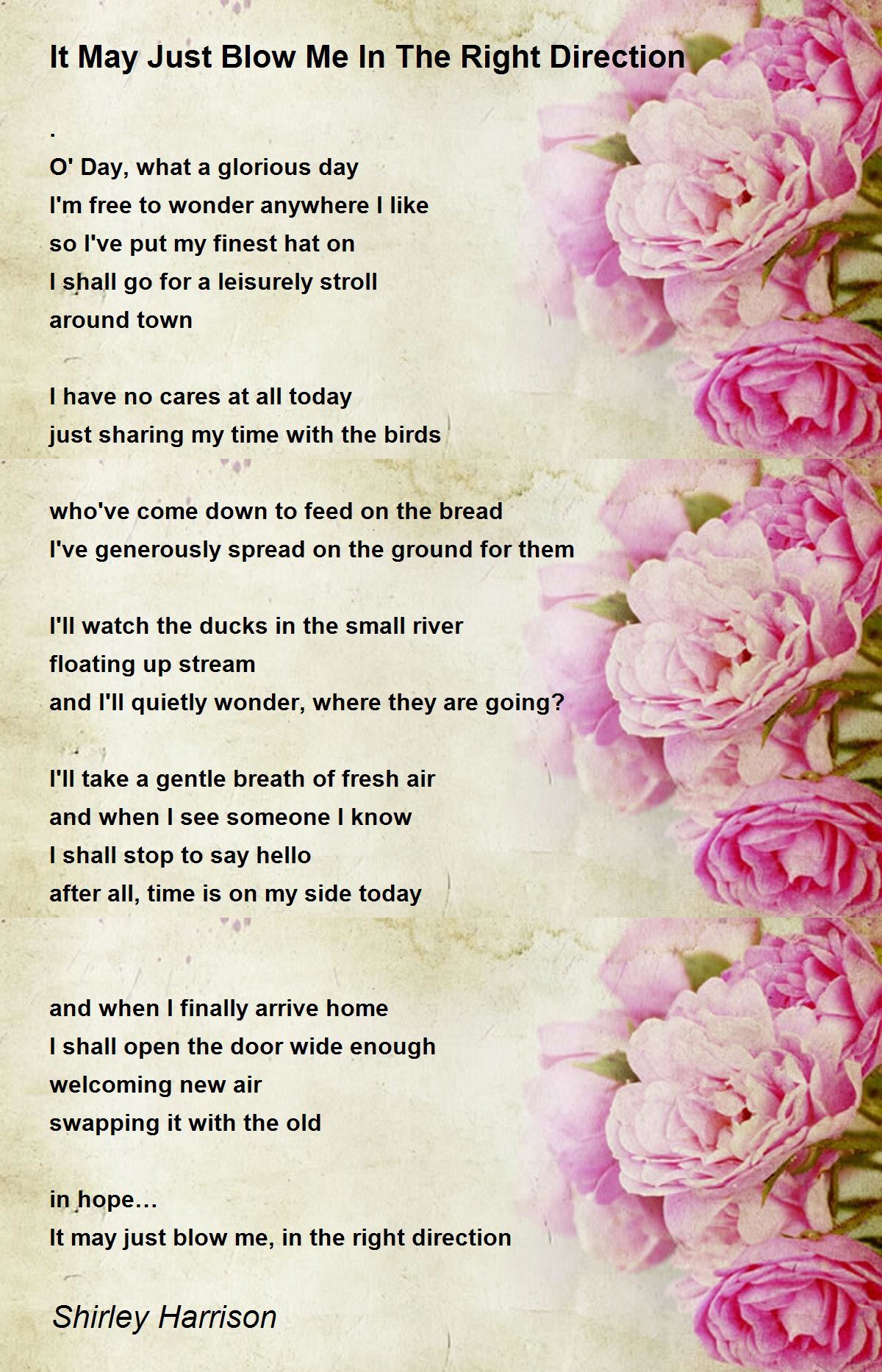 It May Just Blow Me In The Right Direction - It May Just Blow Me In The  Right Direction Poem by Shirley Harrison