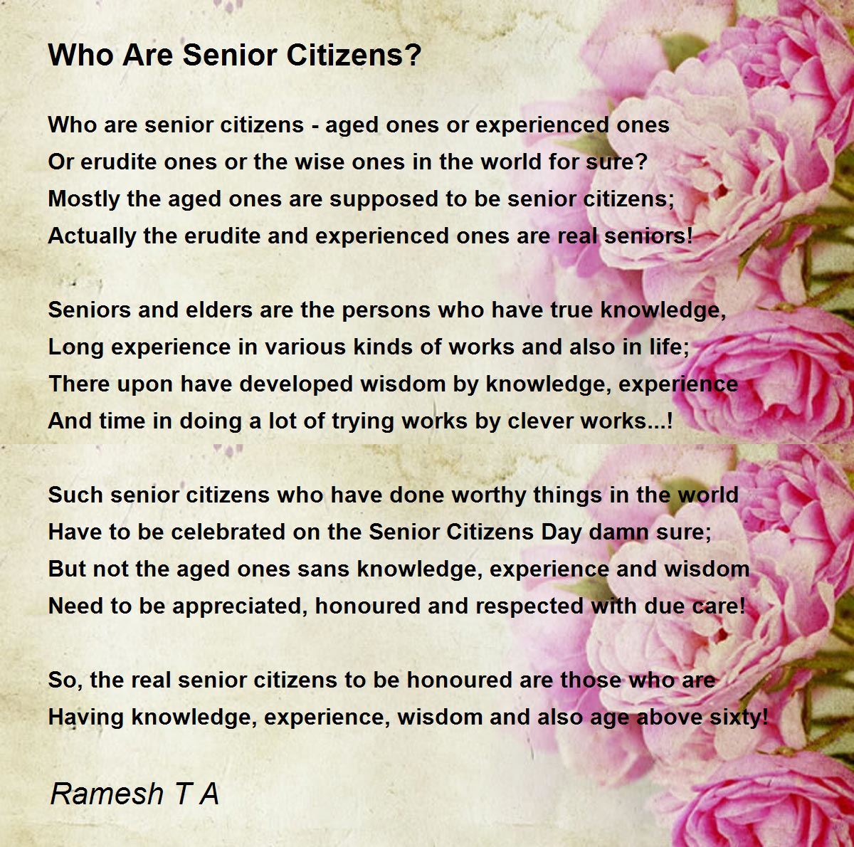 Who Are Senior Citizens